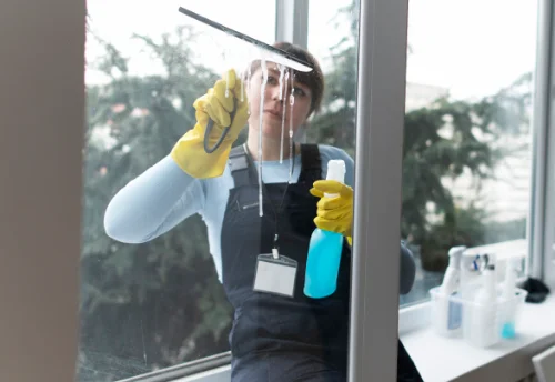 Nettoyage de vitres intérieures et extérieures à Meaucé